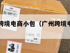 广东国际跨境电商小包（广州跨境电商小包物流）