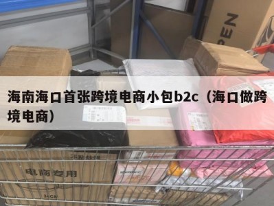 海南海口首张跨境电商小包b2c（海口做跨境电商）