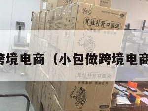 小包做跨境电商(小包做跨境电商可以吗)