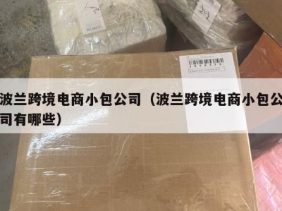 波兰跨境电商小包公司（波兰跨境电商小包公司有哪些）