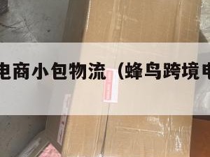 蜂鸟跨境电商小包物流（蜂鸟跨境电商怎么样）