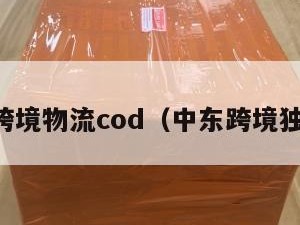 中东跨境物流cod（中东跨境独立站）