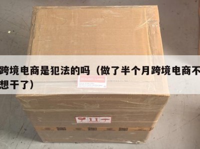 跨境电商是犯法的吗（做了半个月跨境电商不想干了）