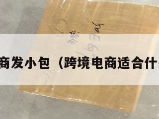 跨境电商发小包（跨境电商适合什么人做）