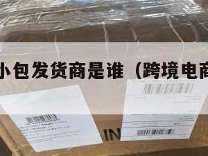 跨境电商小包发货商是谁（跨境电商小包做什么的）
