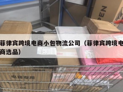 菲律宾跨境电商小包物流公司（菲律宾跨境电商选品）