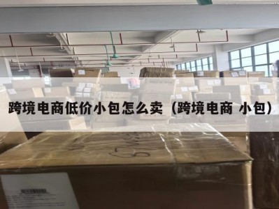 跨境电商低价小包怎么卖（跨境电商 小包）