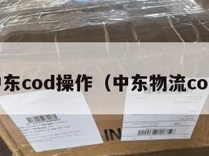 中东cod操作（中东物流cod）