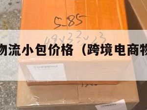 跨境电商物流小包价格（跨境电商物流收费标准）