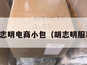 胡志明电商小包（胡志明服装）