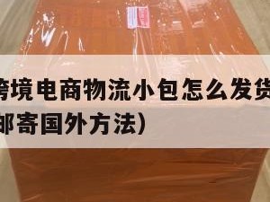 ebay跨境电商物流小包怎么发货（ebay发货邮寄国外方法）