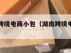 湖南国际跨境电商小包（湖南跨境电商生态产业园）
