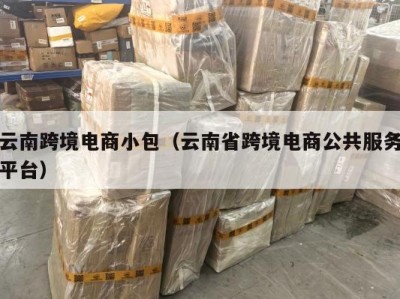 云南跨境电商小包（云南省跨境电商公共服务平台）