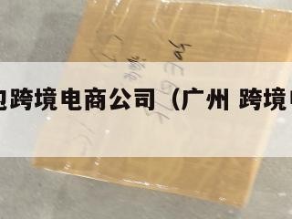 广州小包跨境电商公司（广州 跨境电商公司）