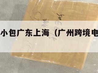 跨境电商小包广东上海（广州跨境电商小包物流）