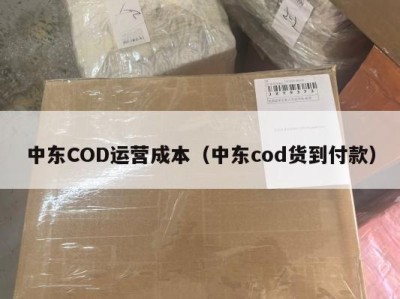 中东COD运营成本（中东cod货到付款）