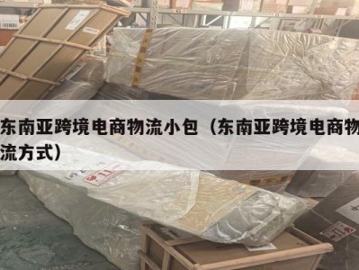 东南亚跨境电商物流小包（东南亚跨境电商物流方式）