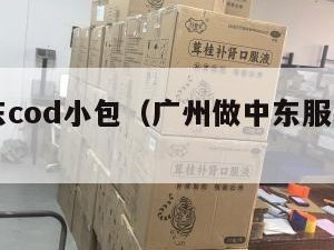 广州中东cod小包（广州做中东服装的公司）