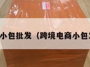 跨境电商小包批发（跨境电商小包发货货代）