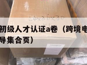 跨境电商初级人才认证a卷（跨境电商初级人才认证引导集合页）