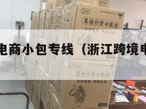 浙江跨境电商小包专线（浙江跨境电商政府政策）