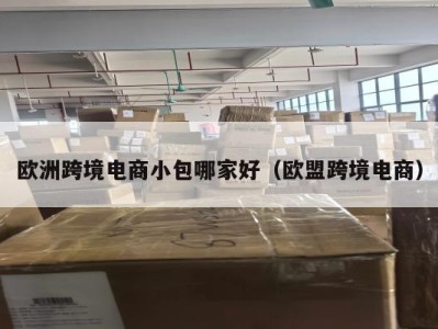 欧洲跨境电商小包哪家好（欧盟跨境电商）
