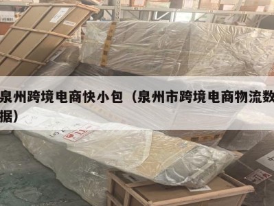 泉州跨境电商快小包（泉州市跨境电商物流数据）