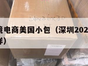 深圳跨境电商美国小包（深圳2020跨境电商怎么样）