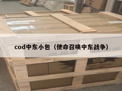 cod中东小包（使命召唤中东战争）