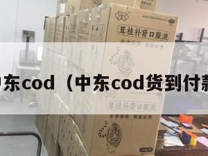 中东cod（中东cod货到付款）
