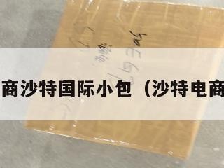 跨境电商沙特国际小包（沙特电商noon）