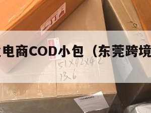 东莞跨境电商COD小包（东莞跨境电商公司）
