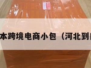 河北到日本跨境电商小包（河北到日本机票）