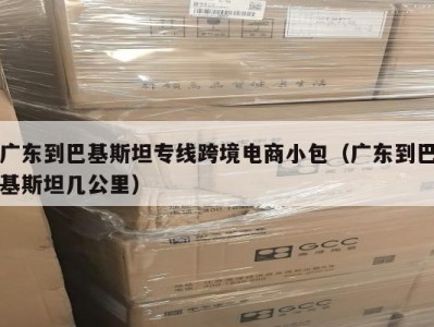 广东到巴基斯坦专线跨境电商小包（广东到巴基斯坦几公里）