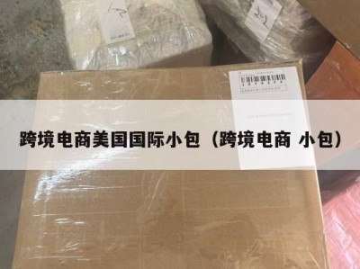 跨境电商美国国际小包（跨境电商 小包）