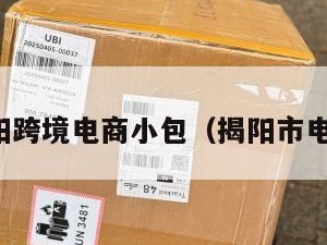 揭阳跨境电商小包（揭阳市电商）