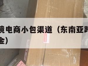 东南亚跨境电商小包渠道（东南亚跨境电商需要多少资金）