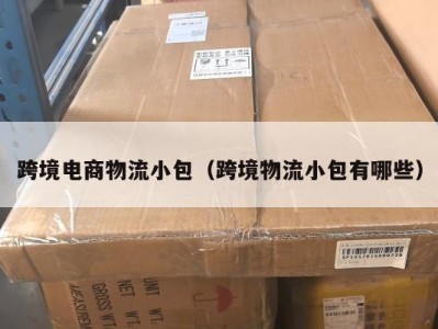 跨境电商物流小包(跨境物流小包有哪些)