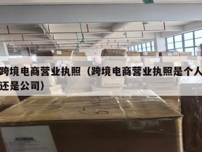 跨境电商营业执照（跨境电商营业执照是个人还是公司）