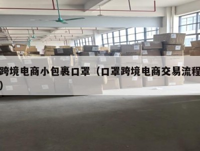 跨境电商小包裹口罩（口罩跨境电商交易流程）