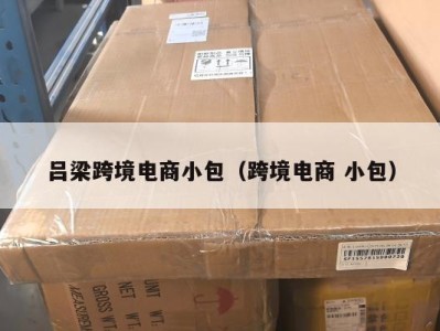 吕梁跨境电商小包（跨境电商 小包）