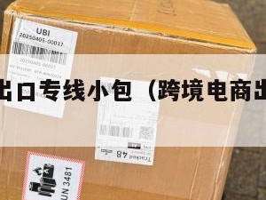 跨境电商出口专线小包（跨境电商出口操作流程）