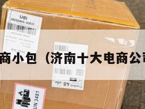 济南电商小包（济南十大电商公司排名）