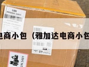 雅加达电商小包（雅加达电商小包多少钱）