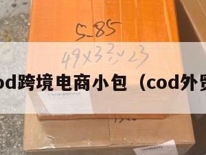 cod跨境电商小包（cod外贸）