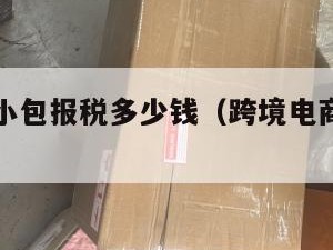 跨境电商小包报税多少钱（跨境电商小包发货货代）