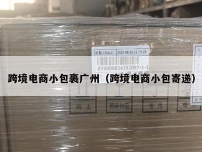 跨境电商小包裹广州（跨境电商小包寄递）