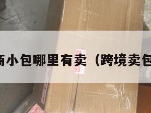 跨境电商小包哪里有卖（跨境卖包怎么样）