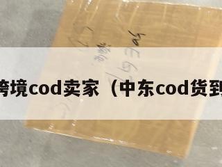 中东跨境cod卖家（中东cod货到付款）