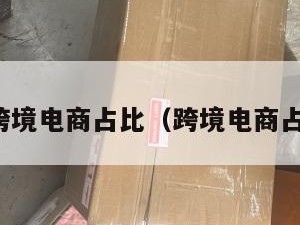 小包跨境电商占比（跨境电商占有率）